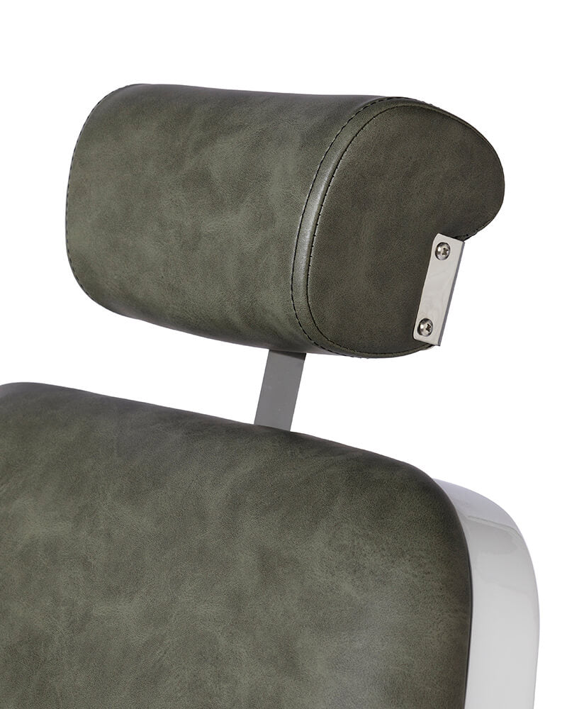 Forest Sage - Green barber chair